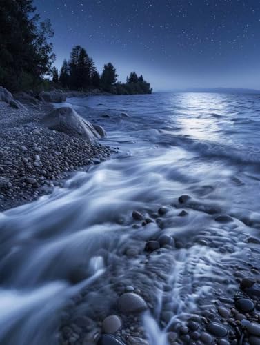 C yCgoCio[  DIY G ANG̋ ZbgƃuVt G lp S G hG  A[gNtg z[fR[V av[g 100x130cm 3-5182