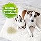 Bactador Enzymreiniger - Geruchsentferner & Fleckenentferner Konzentrat 1L - Mikrobiologischer Geruchsneutralisierer - Porentiefe Reinigung - Ergibt bis zu 50 Liter - Hunde/Katzenurin Entferner