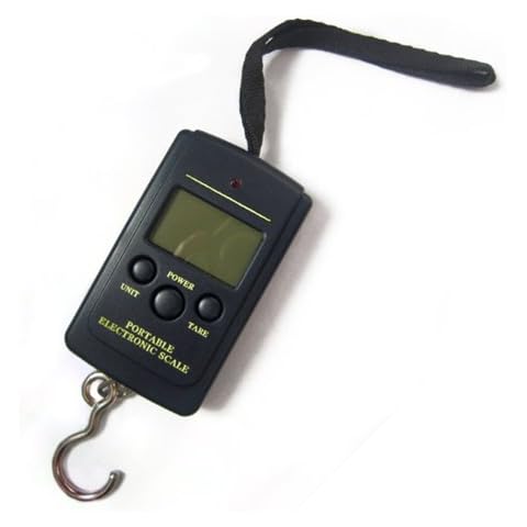 Peson électronique WARMHAND 10g/40kg Cover
