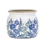 Dosayes Maceta de cerámica vintage con agujeros de drenaje, regalo de jardinería (Art