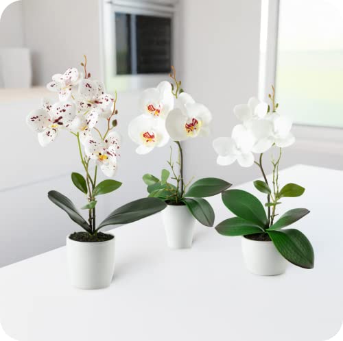 Kunstblumen Pasch Orchideen im Topf – 3er Set (35 cm)