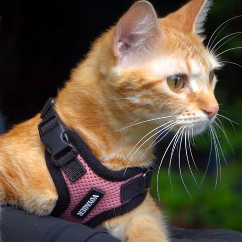 Image of Voyager Escape-Proof Step-in Lock Cat Harness & 5ft Neoprene-Handle Leash Set All-Weather Mesh with Reflective Stitching for Small to Large Cats by Best Pet Supplies, Turquoise /Black Trim, XS