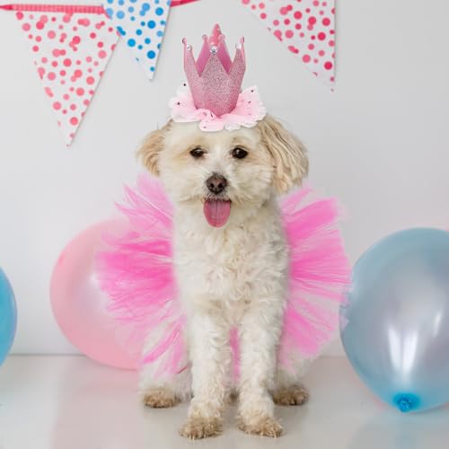 Conjunto disfraz para perro falda tutú y corona roja miniatura 4