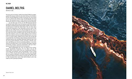 Art & Ecology Now - Image 5