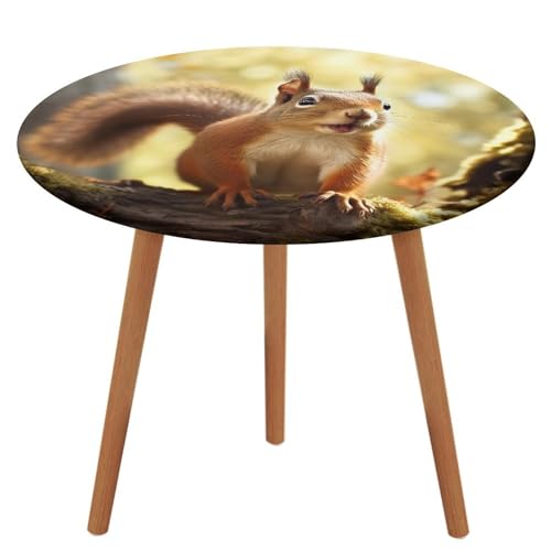Nappe de table écureuil imperméable extensible nappe cuisine ronde infroissable fête