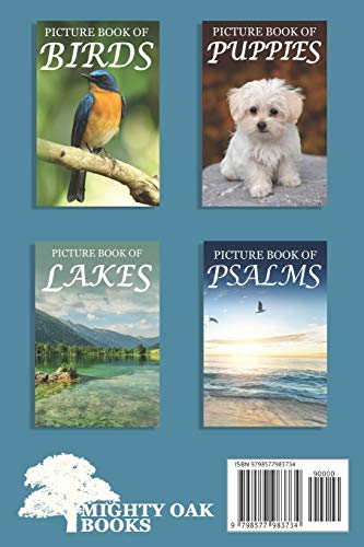 Picture Book of Happy Babies: For Seniors with Dementia (Large Text) [Best Gifts for People with Dementia] image 4