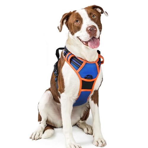 Image of rabbitgoo Dog Harness No Pull with 2 Leash Clips, Adjustable Soft Padded, Reflective Oxford No Choke Pet Vest with Easy Control Handle for Large Dogs, Blue & Orange, L