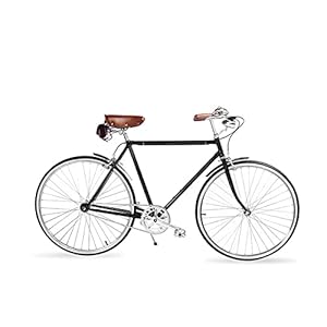 Complete Cruiser-fietsen, Innerlijke drie-speed transmissie retro fiets DIY Gestolte frame herenfiets door paritariny…