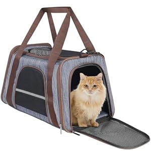HiCaptain Soft Cat Carrier with Top Mesh Window – Pet Carrier Breathable for Medium Cats and Small Dogs Puppies up to 15 lb (Blue)