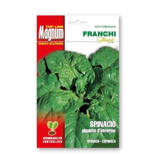 Sementi in busta magnum termosaldata grande per la produzione di ortaggi nell'orto famigliare (Spinacio Gigante D'inverno, Due buste)