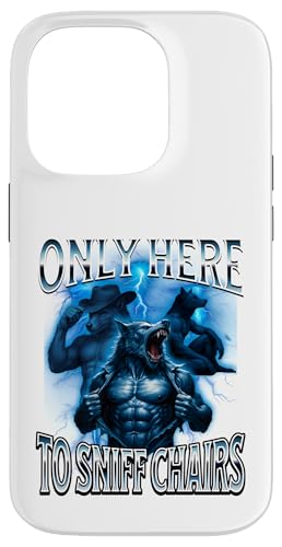 sȑl̃[A ΂Ă XjbtBO`FA X}zP[X iPhone 14 Pro p