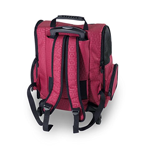 Gen7 Compact Roller Pet Carrier For Dogs And Cats – Compact And Lightweight – Converts To A Backpack #TOP3