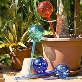 Aqua Plant Watering Globes Mini- 16pc Deluxe Set