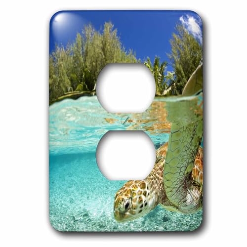 Cache-prise motif tortue de mer Michele Westmorland 3dRose