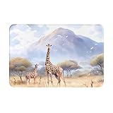 tapis plastique africain marseille Scénarios appropriés : polyvalent pour tous les scénarios, couvrant les zones de réception intérieures, les cuisines, les buanderies, les salles de bains, les chambres, les salons, les bureaux, ainsi que les portes avant et arrière, les garages, les portes de garage, les patios, les terrasses et d'autres zones, répondant à divers besoins d'utilisation.