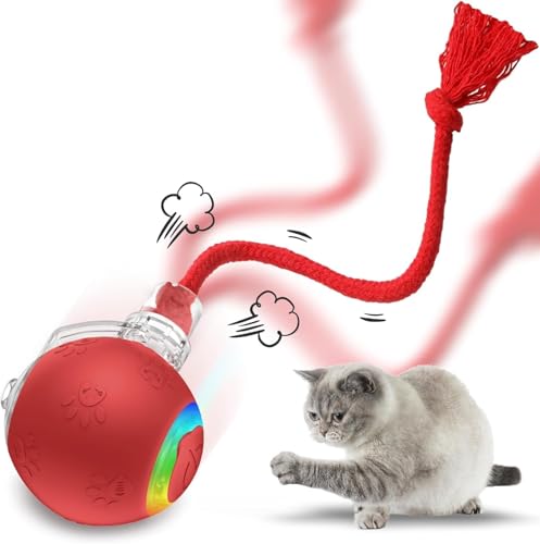 C^NeBu LbggC  Oe[ AȒ̖ USB[d Lp ~ ^b`X^[g  lL ȎqL v[g u[ bh O[ 2iKx ˂Œe[ V ^s (bh)