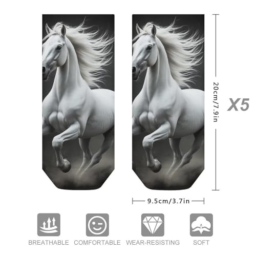 Casual Socks Set of 5, Lightweight Durable Socks for Men Women, Sweat-Absorbent No Show Ankle Sock2