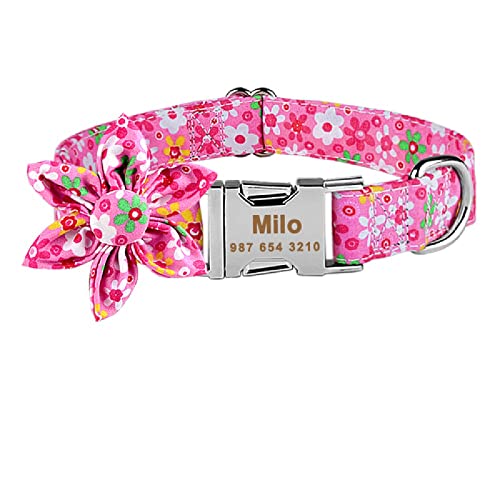 Collier de chien réglable avec nom gravé contre les pertes - 2