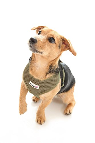 Doodlebone Soft Padded Dog Harness, Extra Large, Khaki