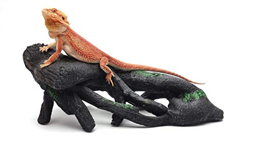 CAROLINACUSTOMCAGES Gnarled Large Root, Black, Reptile Habitat Accessory