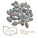 Lifetop 3LB Tiny Painting Rocks DIY Rock for Paint Detail-Painting Smooth Surface Stones,Arts,Crafts Garden,About 350-400PCS 0.5 to 1.0 inches ，Hand Picked