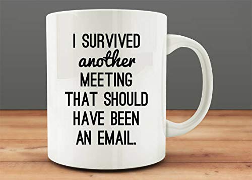 Yilooom Co-Worker Office Gift Idea, I Survived Another Meeting That Should Have Been an Email Mug, Funny Work Mug