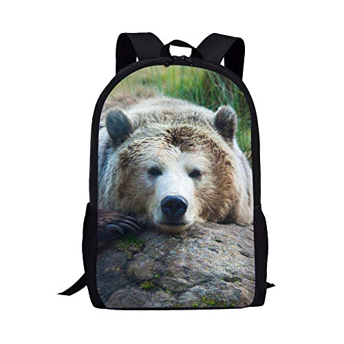 Beauty Collector Customized Children School Backpack Raccoon Animal Book Bags for Boys Kids Girls