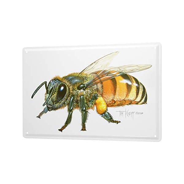 LEotiE SINCE 2004 Blechschild Wandschild 30x40 cm Vintage Retro Metallschild Kinderzimmer Biene Honig