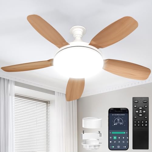 SUKITEN �V�[�����O�t�@�����C�g 8-10�� ��81cm �y2026�N�ŐV�i���E��^�E�啗�ʁE���t��]�z E26 LED �t�@���t���Ɩ� 5000lm 44W ���^ �É� �O��DC���[�^�[���� ���i�K�������F APP���� �����R���t�� �^�C�}�[ ����