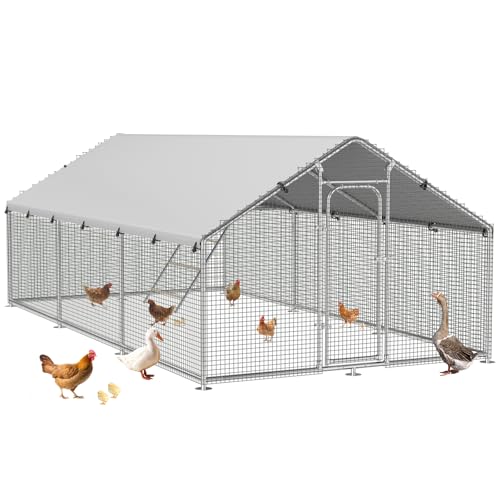 Large Metal Chicken Coop Run with Roosting Perch, Outdoor Poultry