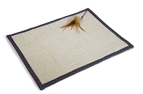 SmartyKat Scratch Nip Cat Scratcher Sisal Catnip Scratcher