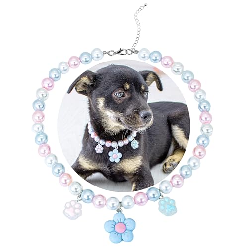 SM4BED  L  p[lbNXAzCgƃsÑr[Yɂ킢u[t[y_gƈ炵܁A^^ybgp̒߉\ȎqWG[AL 14C`