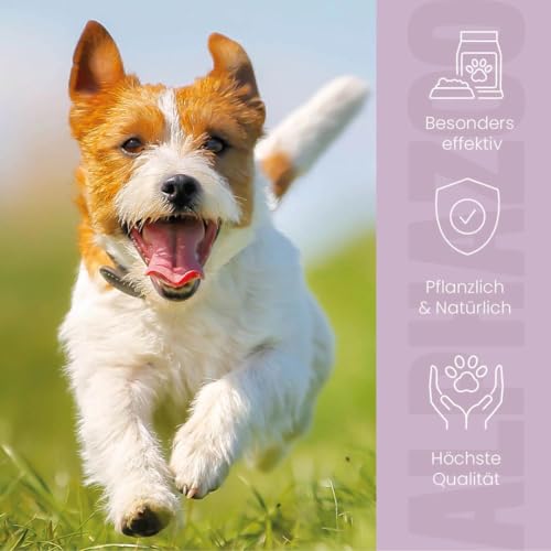 alphazoo Zeck-Attack Anti Zecken Spray für Hunde 250ml I Natürliches Mittel gegen Zecken mit Sofortwirkung I Langzeit Zecken Schutz