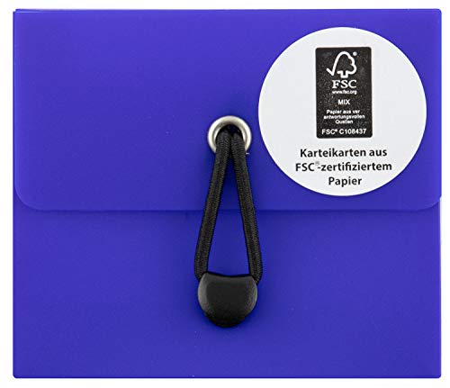 Stylex 49101 - Karteikartenbox DIN A8, mit 5 Fächern inklusive 100 linierte FSC Karteikarten, in 6, Wiederholen und Üben von neuen und Alten Vokabeln, sortierter Artikel