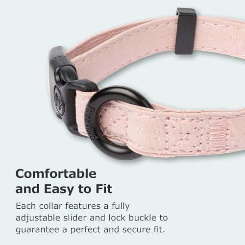 Collier pour petits chiens en nylon robuste de qualité supérieure - 4