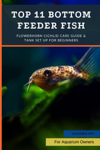  Top 11 Bottom Feeder Fish: Best Tank Cleaners