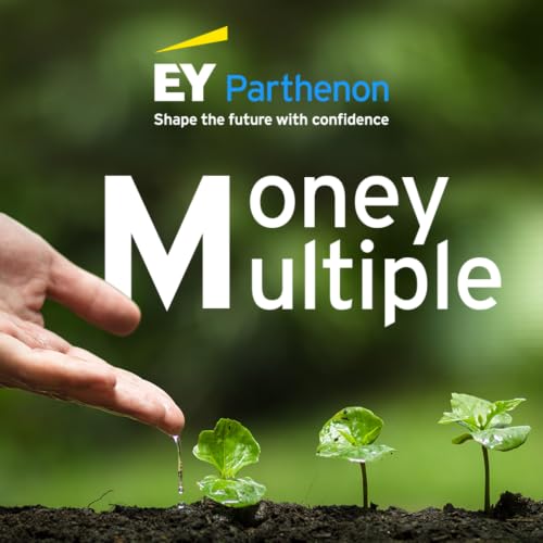 Energy transition in Asia: a private capital lens