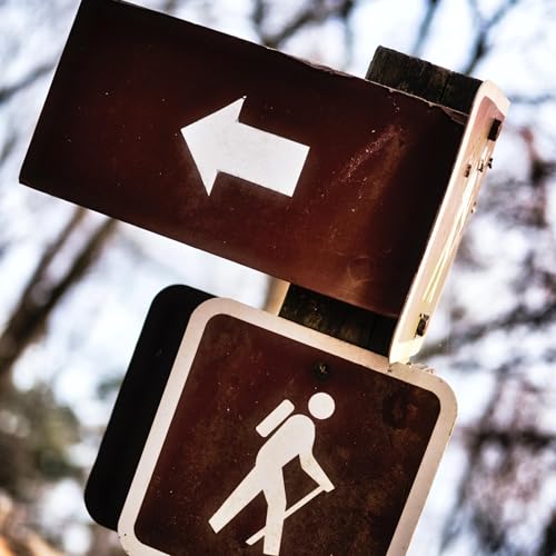 『How To Take The Crazy Out of Living in Paradox』のカバーアート