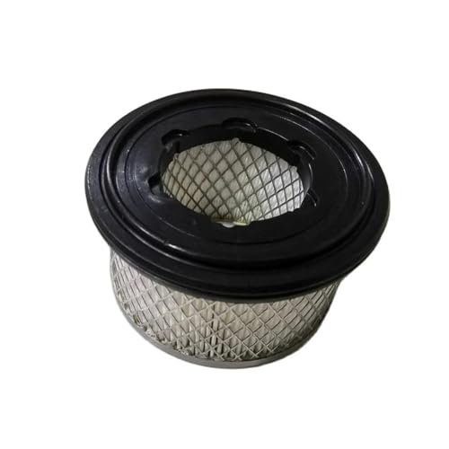2 filtres ED2175306S de rechange pour motoculteur et tondeuse ED2175.306.S SA12450 SA12347