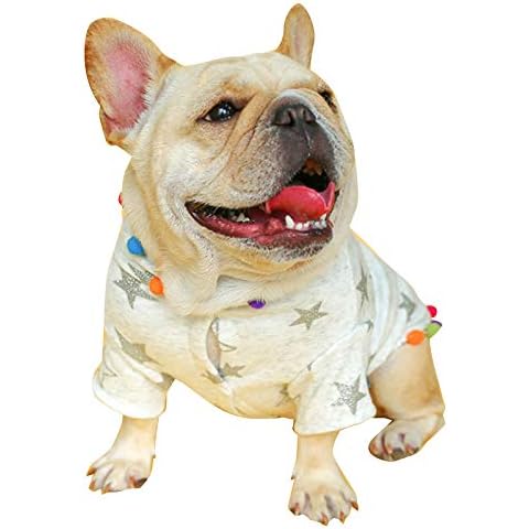 Pet Rainbow Light Star Print Festival Style Dog Hoodies 2 Legs Pet Clothes Cotton Puppy Winter Sweatshirt Warm Sweater Coat Jacket (Small) Cover