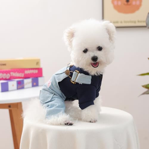 Disfraz para perro pequeño tipo overol de mezclilla miniatura 2