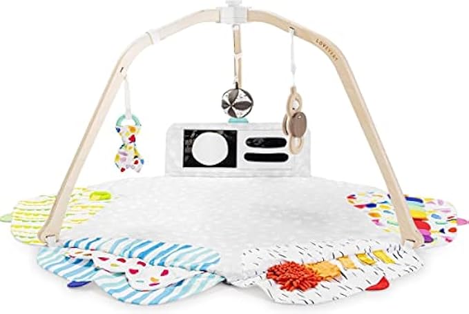 The Play Gym by Lovevery | Stage-Based Developmental Activity Gym & Play Mat for Baby to Toddler, 1 Count (Pack of 1)