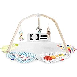 The Play Gym by Lovevery | Stage-Based Developmental Activity Gym & Play Mat for Baby to Toddler, 1 Count (Pack of 1) The Play Gym by Lovevery | Stage-Based Developmental Activity Gym & Play Mat for Baby to Toddler, 1 Count (Pack of 1)