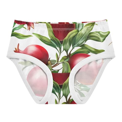 Fancy Girls Underwear Toddler 2t Cotton Little Girl Panties Red Pomegranates Green Leaves Briefs Kids Undies