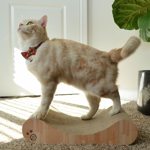 Necoichi Cardboard Cat Scratcher Bed for Indoor Cats - Cat Scratching Board, Horizontal Cat Scratch Pad Lounger with Reversible Usability and Extra Comfort for Lounge, Curved (18" Regular, Oak) by 猫壱 - Image 6