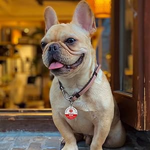 MYLUCKYTAG Emotional Support Animal (ESA) Tag, NFC & QR Code Smart Pet ID Tag, Online Pet Profile, Pet Location Alert Email, Digital Pet Tag, Quiet Pet Tag, Durable Pet ID, Collar Tag