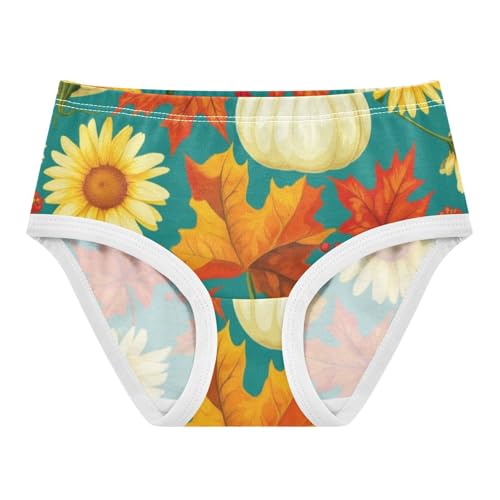Toddler Underwear Custom 2t Cotton Little Girl Panties Cartoon Underpants Briefs Autumn Maple Leaf Pumpkins