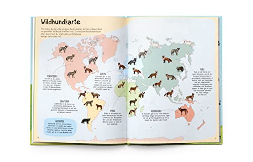 Das Hunde-Buch: Zu Besuch bei Hunden aus aller Welt