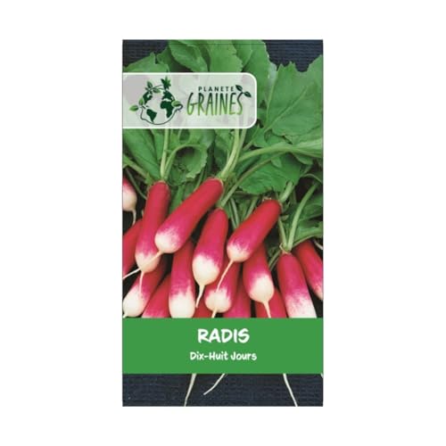 500 graines radis 18 jours demi long - radis rouge - croissance rapide -
