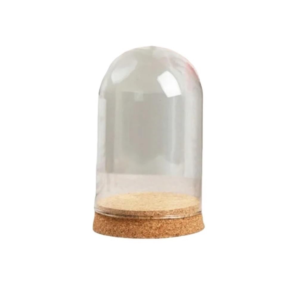 LOMNCHSG Glass Cloche Dome, Glass Dome Cloche Cover Wood Cork Base Microlandscape Bell Jar For DIY Vase Multiple Sizes(8x12cm)